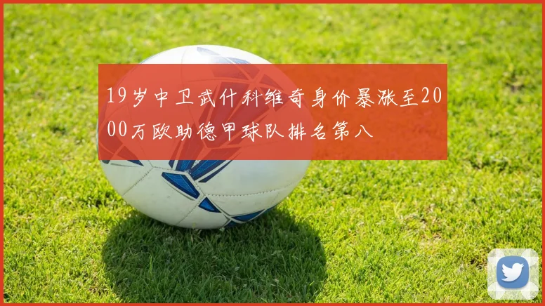 19岁中卫武什科维奇身价暴涨至2000万欧助德甲球队排名第八
